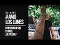 Emprender SIN Estrés, Se puede? | Ep. 151 #AmoLosLunes