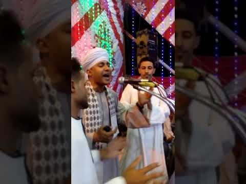 الشيخ مصطفى جمال أفراح عائلة أبو حميلى بالمنشاة  الشيخ مصطفى جمال أفراح عائلة أبو حميلى بالمنشاة