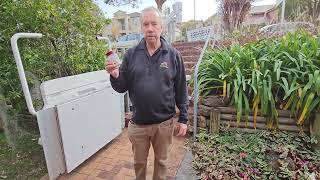 How to Control Rodents Using Garlic Powder