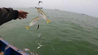 Mancing ikan Selar satu jam bisa dapat seratus ekor