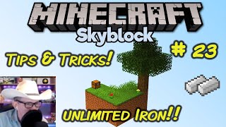 CubeCraft SkyBlock Playthrough –Birch Forest Island – Iron Generator