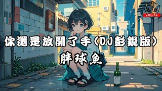 【電音舞曲】胖球魚 - 你還是放開了手(DJ彭銳版)【動態歌詞Lyrics】