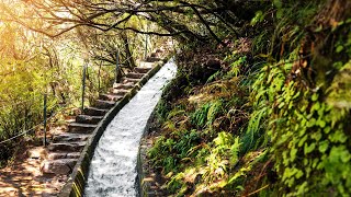 How Madeira's Mountains Supply Freshwater For The Island | Islands of the Future