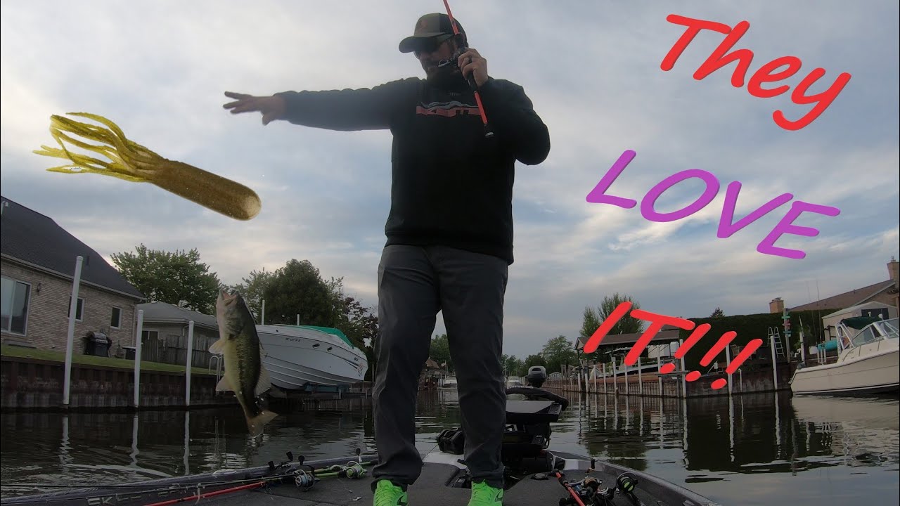 St Clair Lake Largemouth Bass Fishing #bassfishing #michiganfishing