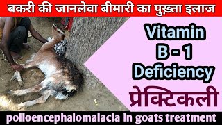 polioencephalomalacia in goats treatment बकरी की बीमारी का इलाज bakri ki gardan ghumana