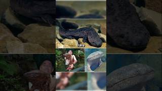 Rare Photos You've Never Seen Before [Part 32]