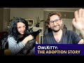 OwlKitty: The Adoption Story