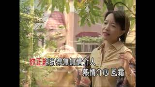 相思綿綿(女)-KTV0088