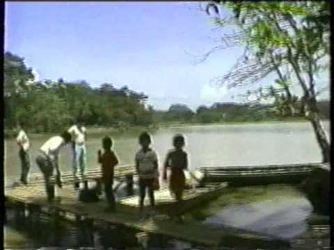 Earthquake Limon 1991