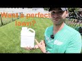 The #1 thing you SHOULD be putting on your LAWN