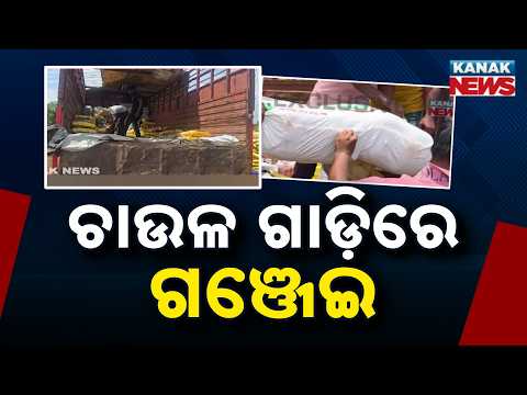 Drug Bust! 500 Kg Ganja Seized from Rice Truck, STF Cracks Major Smuggling Network