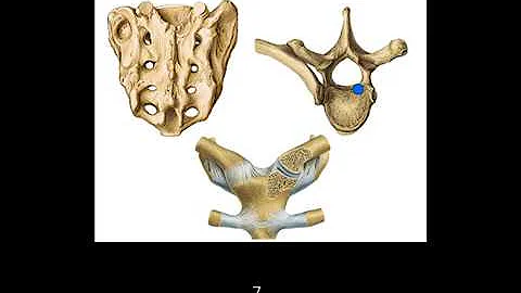 Ejercicio de anatoma