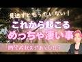 願望成就🌕これからあなたに起こる超〜凄いこと💗【男心タロット、細密リーディング、個人鑑定級に当たる占い】
