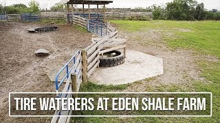 Tire Waterers at Eden Shale Farm