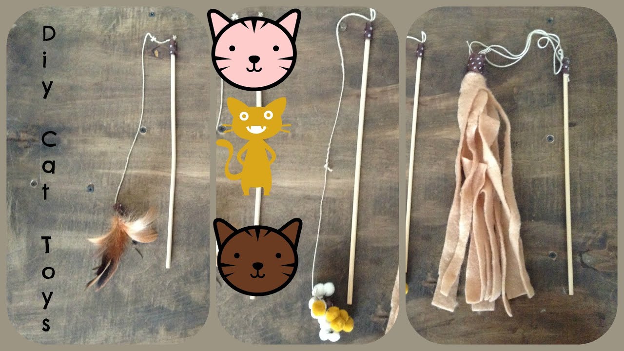 diy interactive cat toys