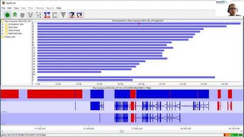 Bitesize Bioinformatics: Getting started with SeqMonk