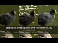 Testing the amazing zoom of the Panasonic FZ82 – 4k video comparison with the FZ330 and G7