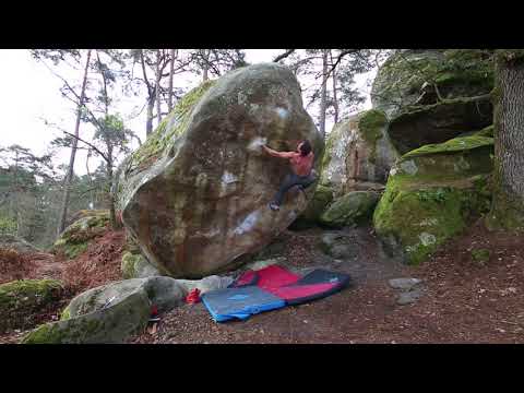 BD Athlete Carlo Traversi: Gecko Assis 8B+