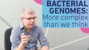 Bacterial genomes are more complex than we think – Dr David Grainger