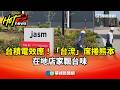 台積電在海外的影響