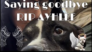 Loosing my best friend #ripayhlee #dogs