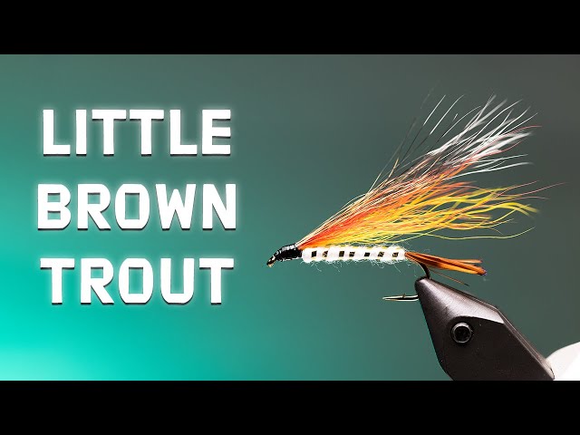 Little Brown Trout Streamer Fly, CRUSH TROUT