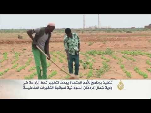تنفيذ برنامج أممي بولاية شمال كردفان السودانية