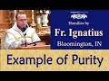 Purity of St. Aloysius - Jun 21 - Homily - Fr Ignatius