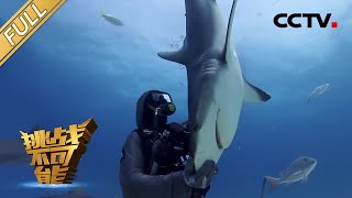 Woman Caressing and Hypnotizing Sharks Underwater | Impossible Challenge S1 EP2 [Eng Sub]