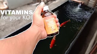 How to Make your Koi Fish Healthy VITAMINS for Koi by Nilo Nieves 810 views 3 weeks ago 10 minutes, 1 second