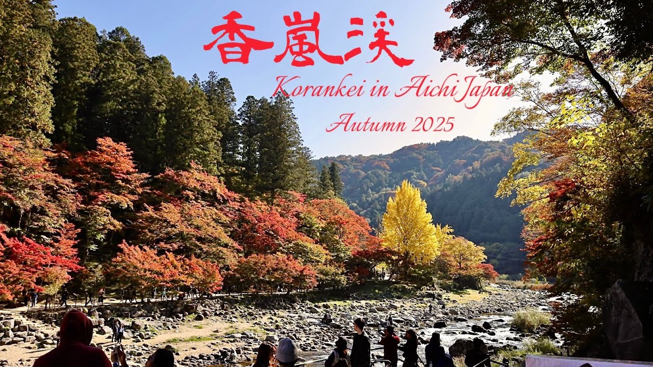 【紅葉🍁見頃】愛知の宝、紅葉の香嵐渓を散策Autumn leaves in Korankei(Aichi, Japan)