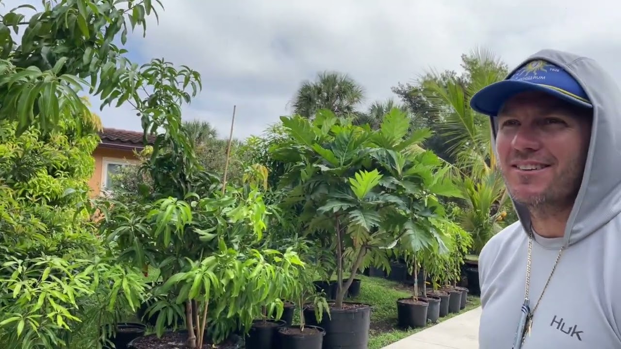Этот парень бросил работу, чтобы продавать фруктовые деревья
