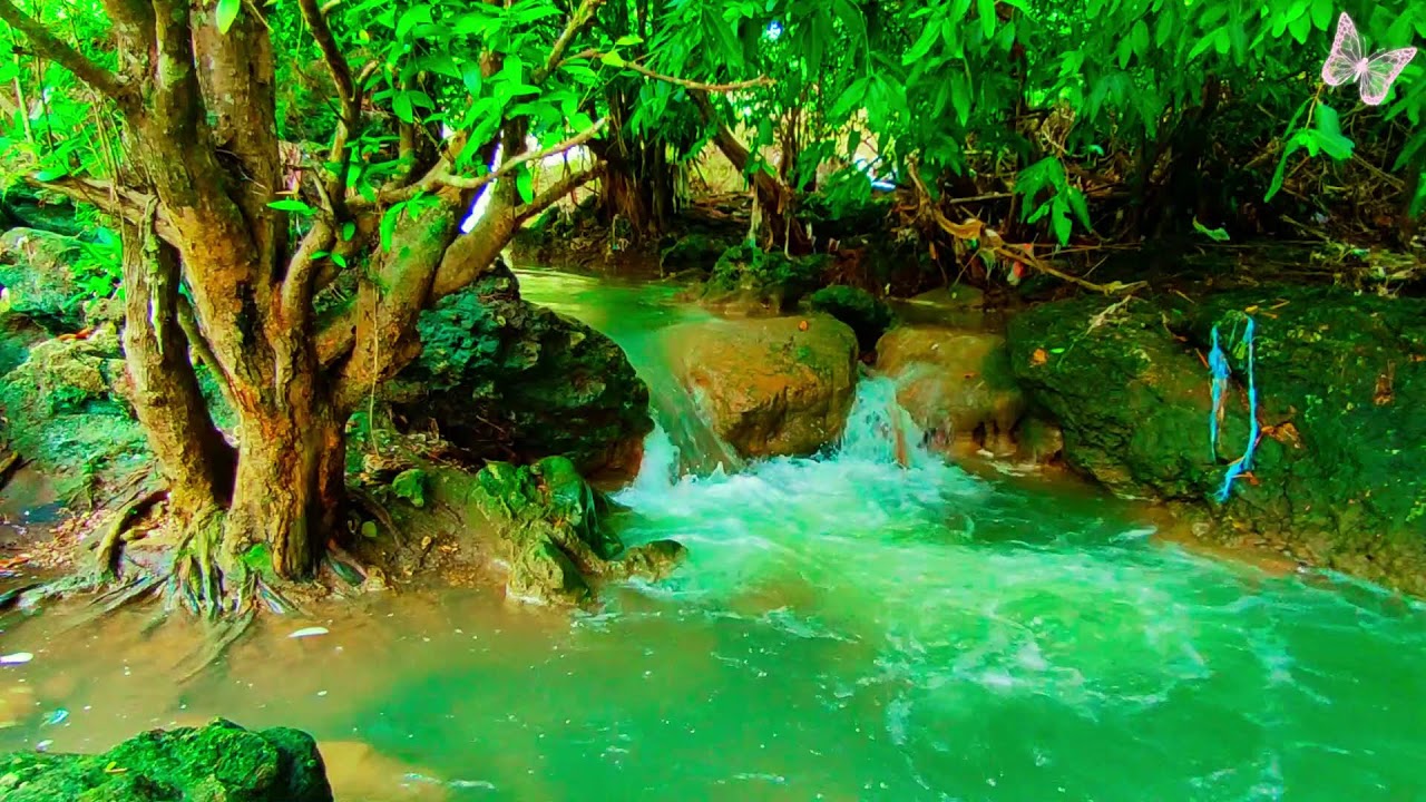 Relaxing Music For Stress Relief, Anxiety and Depressive States🌲Heal Mind, Body and Soul 68