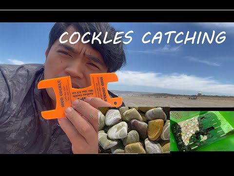 CATCHING PIPIS the