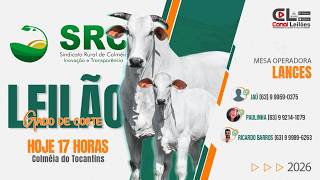 MEGA LEILÃO ESPECIAL 4 ANOS S.R.C LEILÕES | COLMEIA-TO 19/04/2026