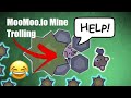 Moomooio trapping pets in a mine trap with bat trolling hackers and building a giant base