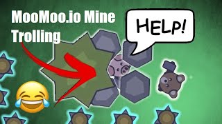 MooMoo.io: Trapping pets in a mine trap with bat! Trolling hackers and building a giant base!