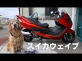 SUZUKIスカイウェイブTYPE-M参考動画:スズキのスカイウェイブにはSとMがある！つま…