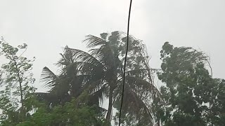 চরম বৃষ্টি