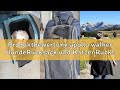 Produktbewertung apollo walker HundeRucksack und KatzenRucksack für Kleine Haustiere(Belastbarkeit 2
