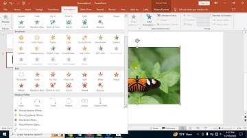 How to add two animations to one object in PowerPoint