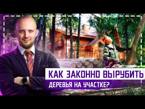 Видео: Будет ли страховка домовладельцев оплачивать вырубку деревьев?