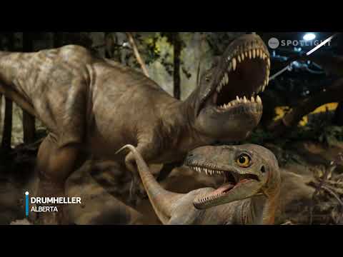 Forgotten History Part 4 - Forgotten History Part 4
