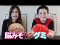 【検証】グミと食べ物どっちがうまいかチャレンジをやってみた！脳みそ食べました。