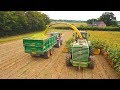 MAIZE HARVEST...BIG JOHN DEERE HARVESTER COMES IN!!!