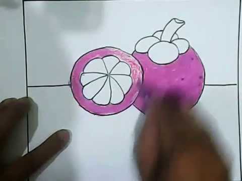 cara menggambar buah  manggis  untuk anak anak YouTube