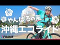 沖縄の海を救え自転車で走りながら【ゴミ拾い】エコライドに参加してみた