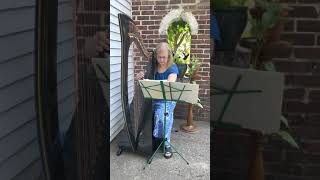 Suzanne Shields Performing The Sound Of Silence On Celtic Harp