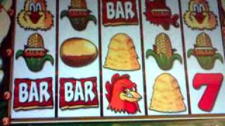 Fowl play gold (20 euro bruciati).3gp screenshot 4