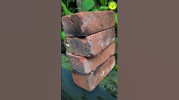 മുട്ടക്ക് ഇത്രയും POWER ഉണ്ടോ😱|ech#youtubeshorts #shorts #m4tech #sufailsvibes #viral #experiment